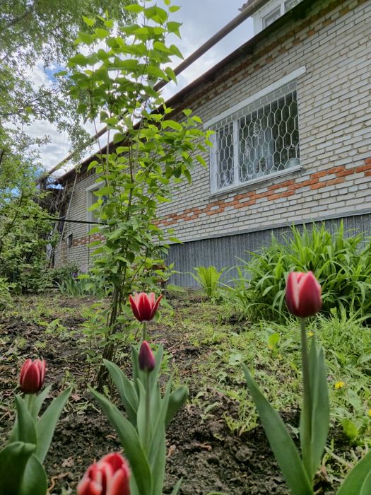 Продам дом в Красном партизане
