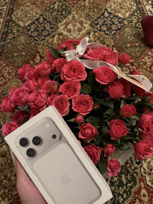 Iphone 17Pro/Pro Max