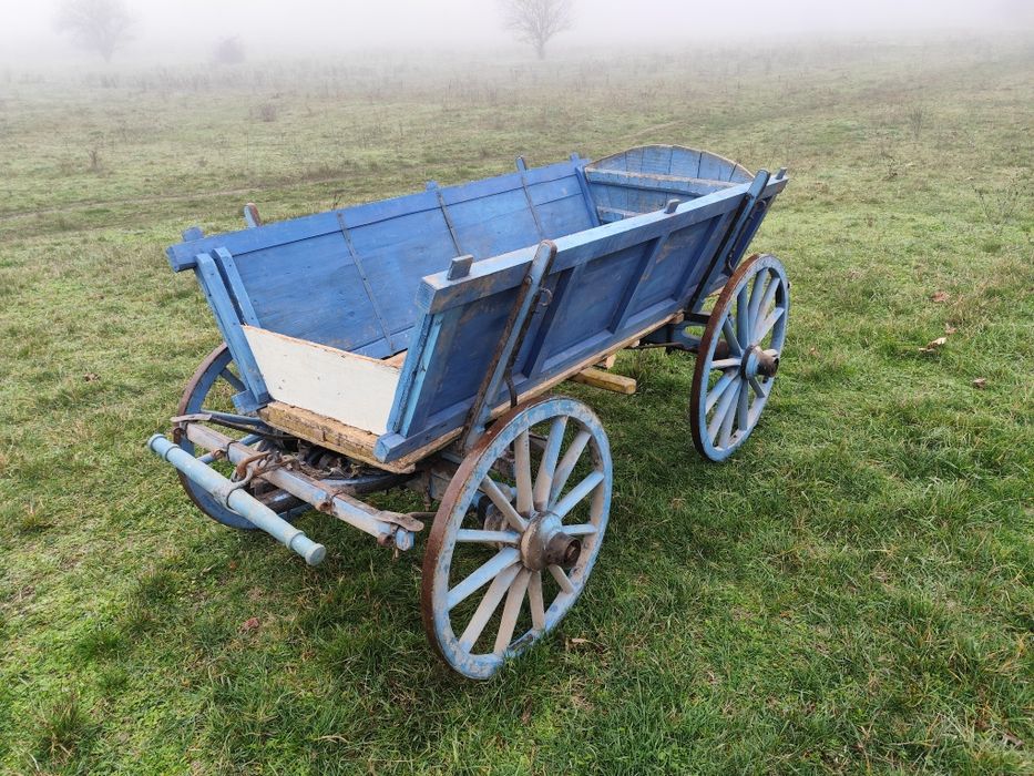 Магарешка каручка