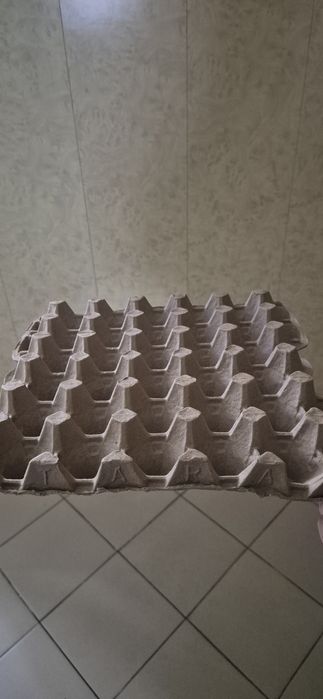 Лотки для яиц (каретка)