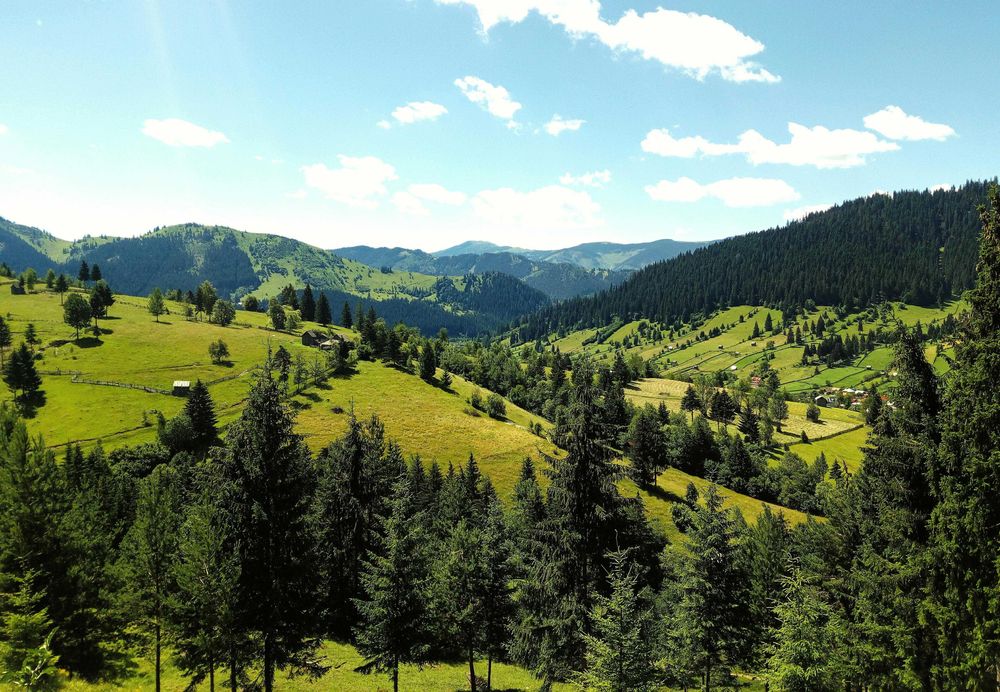 vand locuri de casa , cabana