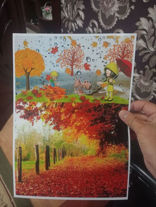 Epson L800 holati idiyalni