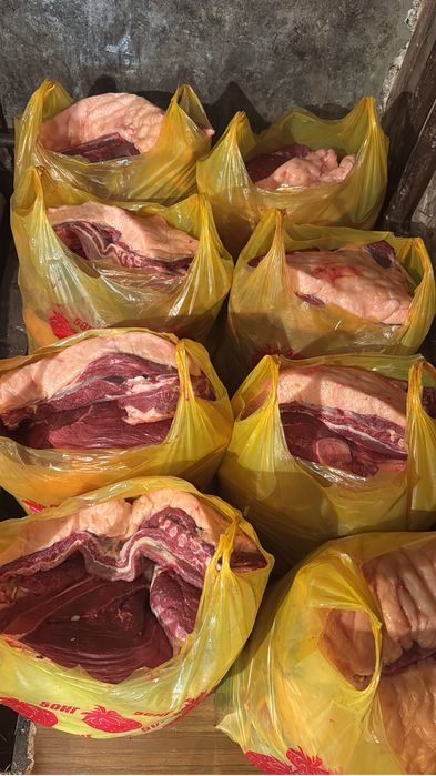 Продам мясо конины