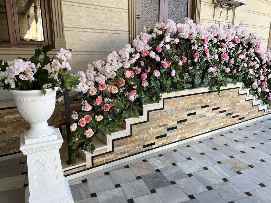 Ховли ва подъезд безаклари