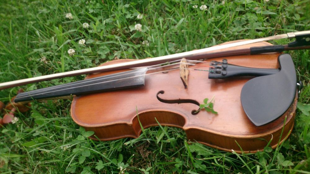 Meditatii vioara-pian,teoria muzicii!Folclor si clasica intensiv