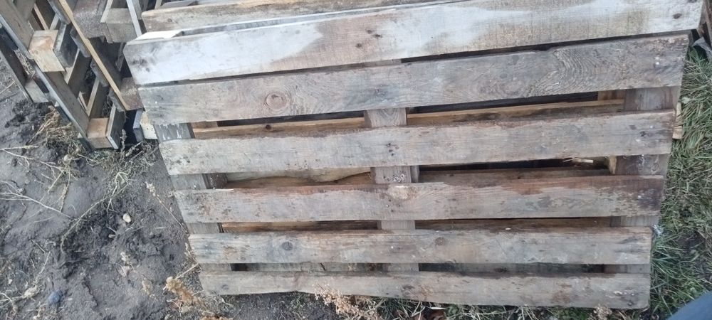 ПОДДОНЫ, палеты  целые