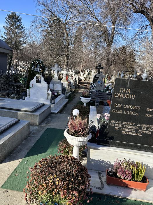 Loc de veci Cimitir Damaroaia