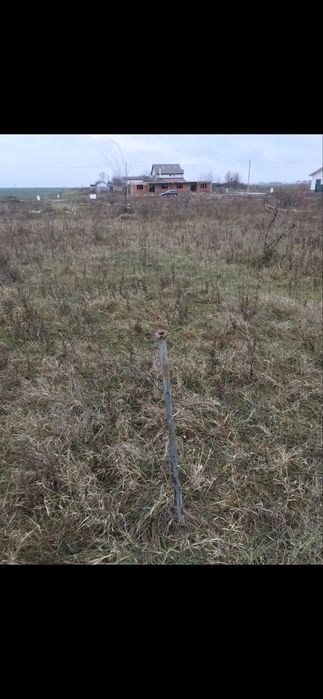 : Teren 670 mp în Ciutaci. Un fel de Corbeanca, dar mai liniștit! Preț corect: 80€/mp