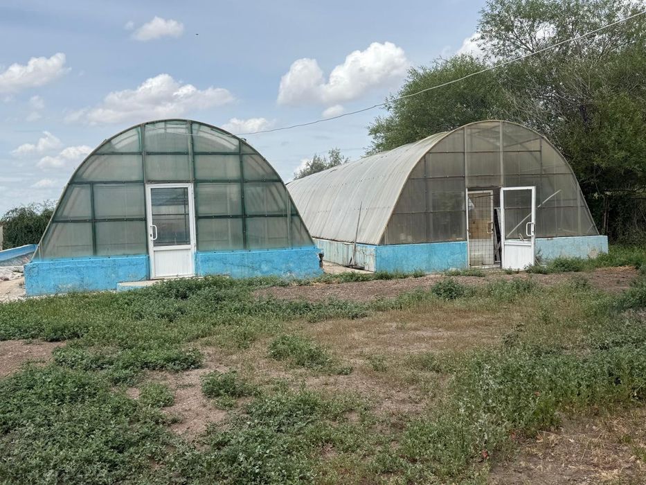 Крестьянское хозяйство, жилой дом, с кирпичными строениями