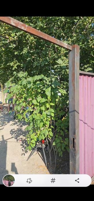 дом возле Роддома на квартиру