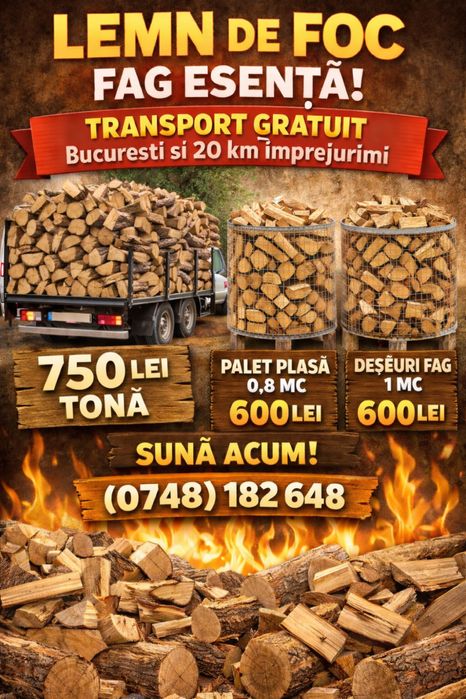 Lemn de fag taiate , sparte