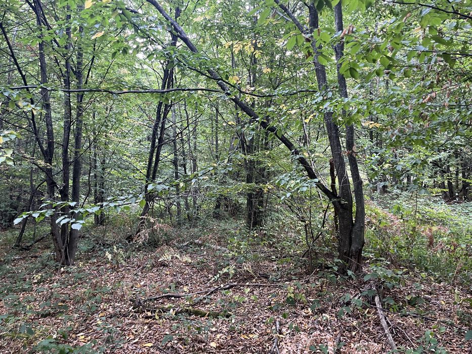 Oportunitate de investitie! Teren intravilan 1026 mp cu puz aprobat,