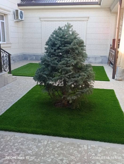 Газон посадка газон экамиз