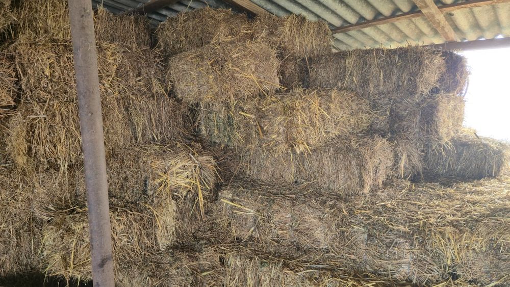 Baloti de lucerna calitatea a 2 a