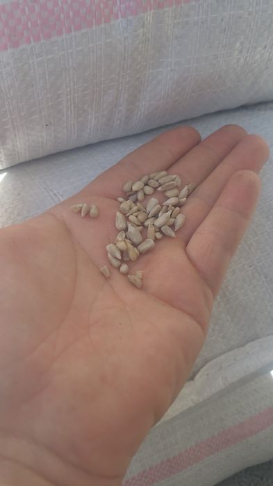 Продам семочки очищинные