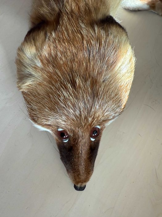 Яка шал лисица естествена кожа