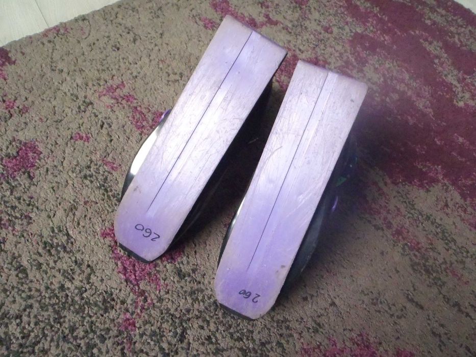 Sled Dogs,snowskates