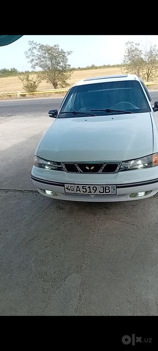 Neksiya soz xolda