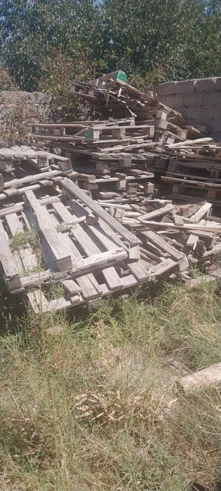 Поддон Паддон Падон Патон Паттон