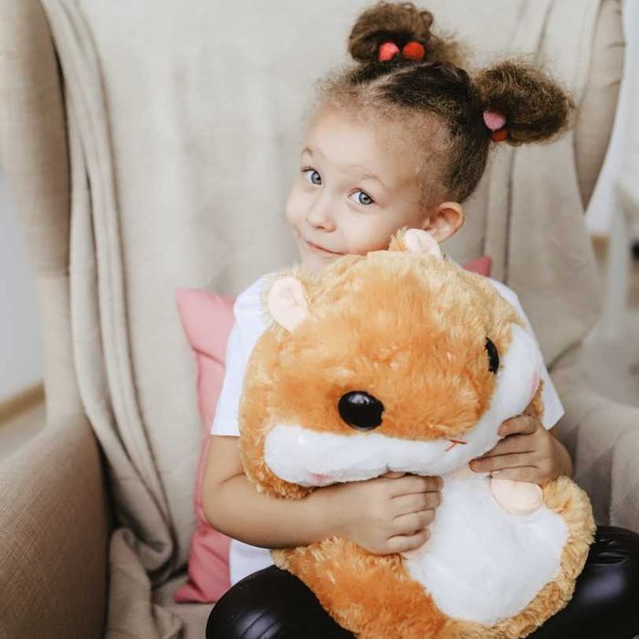 ХОМЯК игрушка с пледом 3 в 1