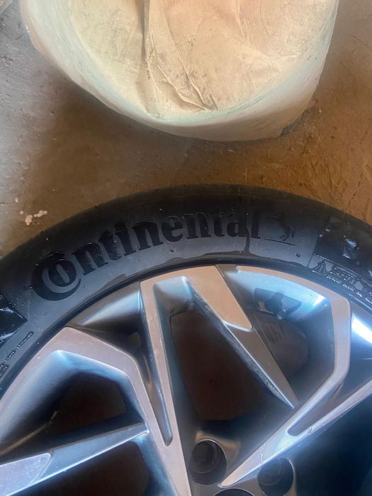 17 донгелек новый