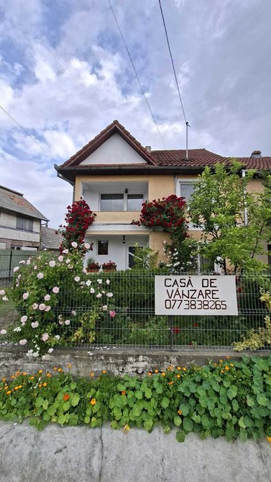 Două case de vânzare, în aceeași curte!!!