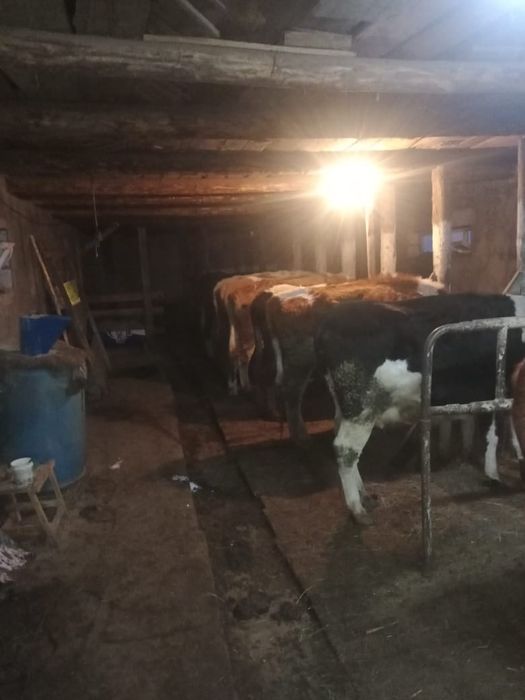 Сельское хозяйство