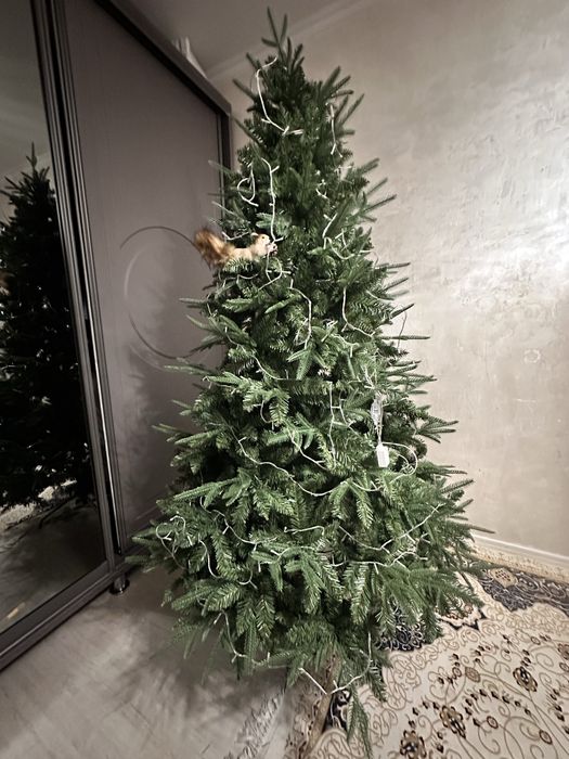 Елка премиум качества