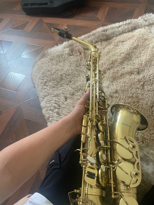 Instrumente muzicale