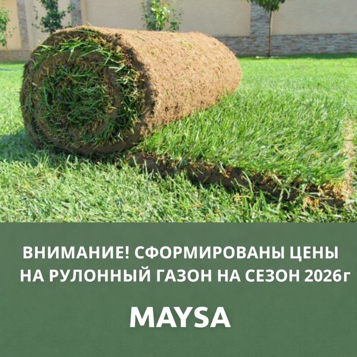 Газон! Под! Ключ!