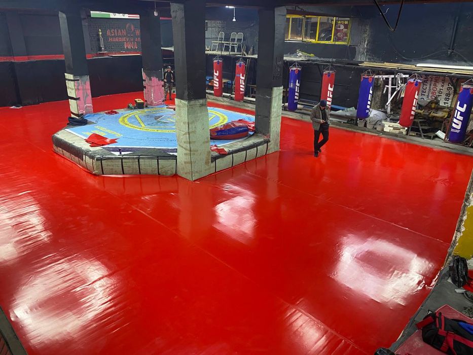 Sport , aktagon octagon MAT борцовский КОВЕР  Tatami