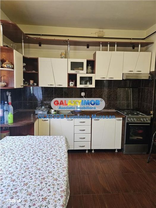 Inchiriere casa P + M Aleea Manastirii