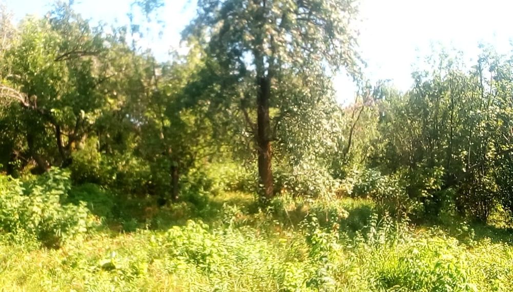 Продам дом в с. Коныр