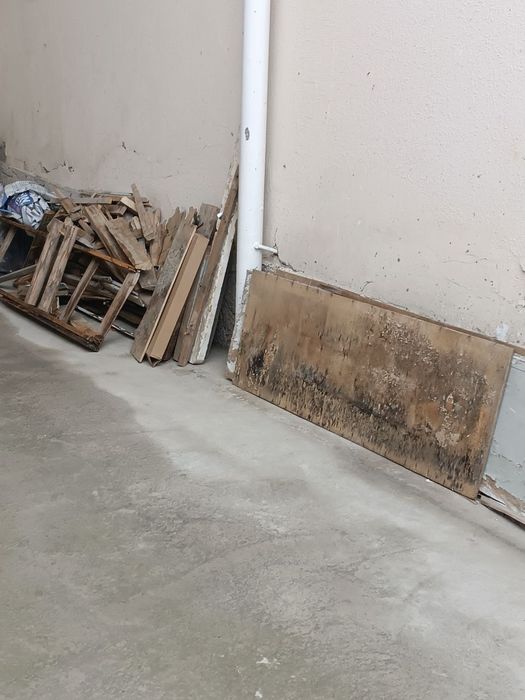 Tekinga paner beriladi