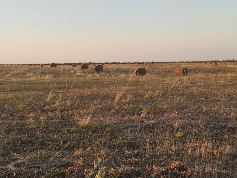 Продам сено в рулонах самовывоз