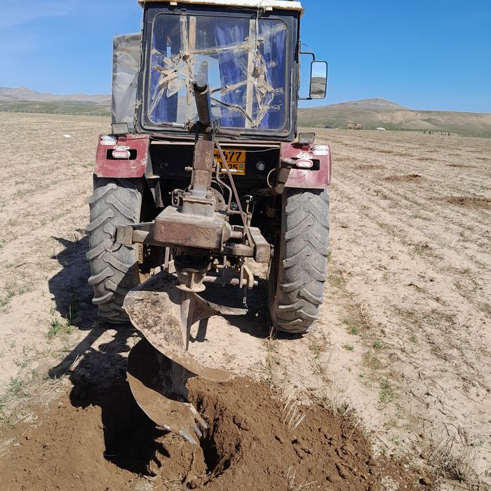 Katta xorozlarning eng chuqur qaldirgochlari