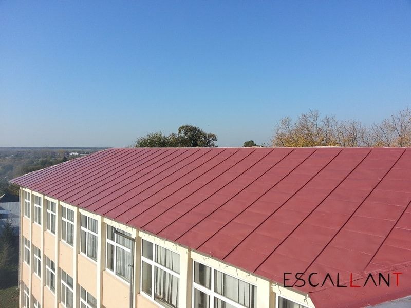 Reparatii burlane, jgheaburi, acoperisuri