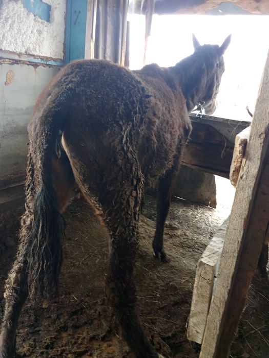 Продам или обмен