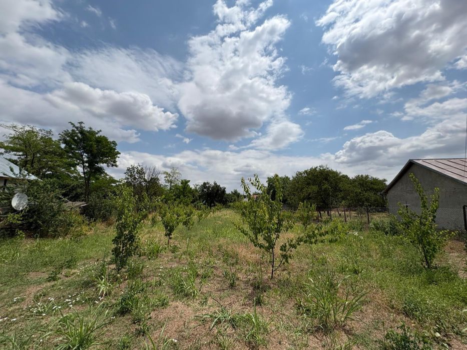 Teren de vanzare Plumbuita ( Tamadau)