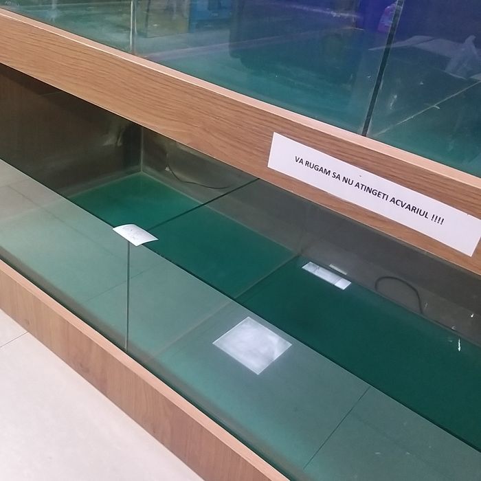 Mobilier cu acvarii & terariu – ideal pentru petshop / crescători / pa