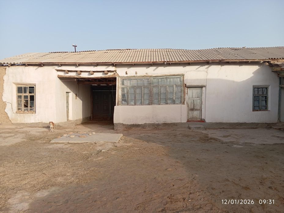 Xovli sotiladi 16 sotuxli Paxtaobod