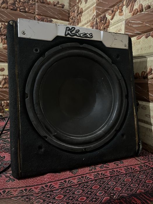 Пионер овалный сатылады