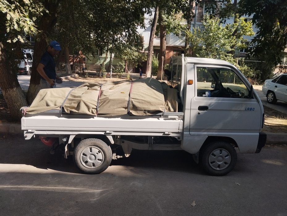 Musir tsshish xizmati/Tez va arzon