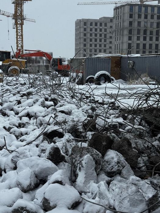 Блужник арзан бағада