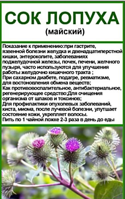 Сок Лопуха (майский) 500 мл