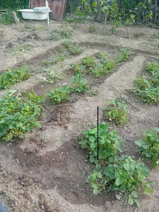 Продаётся дача,участок 7соток