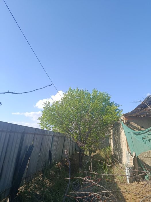 Yer maydoni sotiladi  Buxoro viloyati jondor tumani 10s
