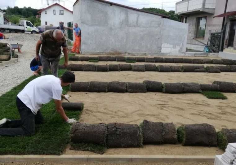 Gazon Rulou Proaspăt – Prindere Garantată 100%