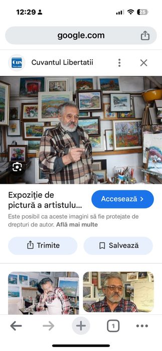 Tablou original Vasile Buzz