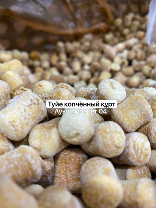 Құрт курт сут онимдери